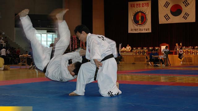 Kejuaraan Hapkido Asia Tenggara 2025: Yogyakarta Jadi Panggung Harmoni Asia